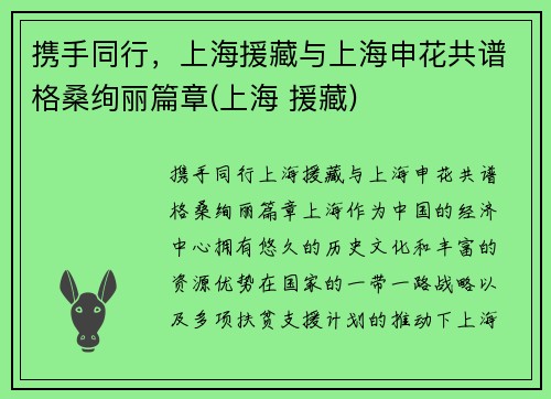 携手同行，上海援藏与上海申花共谱格桑绚丽篇章(上海 援藏)