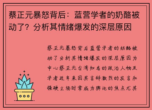 蔡正元暴怒背后：蓝营学者的奶酪被动了？分析其情绪爆发的深层原因