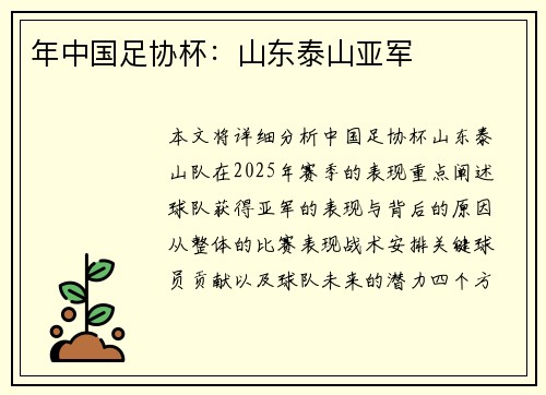 年中国足协杯：山东泰山亚军