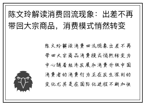 陈文玲解读消费回流现象：出差不再带回大宗商品，消费模式悄然转变
