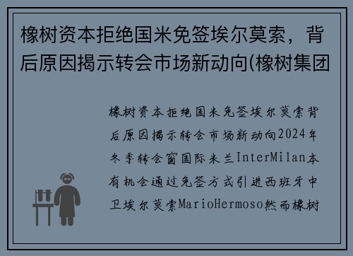 橡树资本拒绝国米免签埃尔莫索，背后原因揭示转会市场新动向(橡树集团)