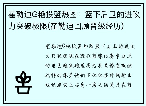 霍勒迪G艳投篮热图：篮下后卫的进攻力突破极限(霍勒迪回顾晋级经历)