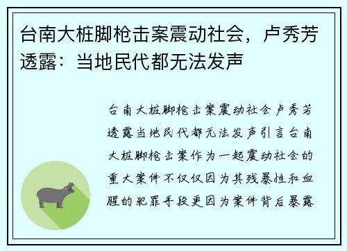 台南大桩脚枪击案震动社会，卢秀芳透露：当地民代都无法发声