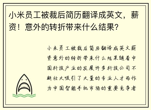 小米员工被裁后简历翻译成英文，薪资！意外的转折带来什么结果？